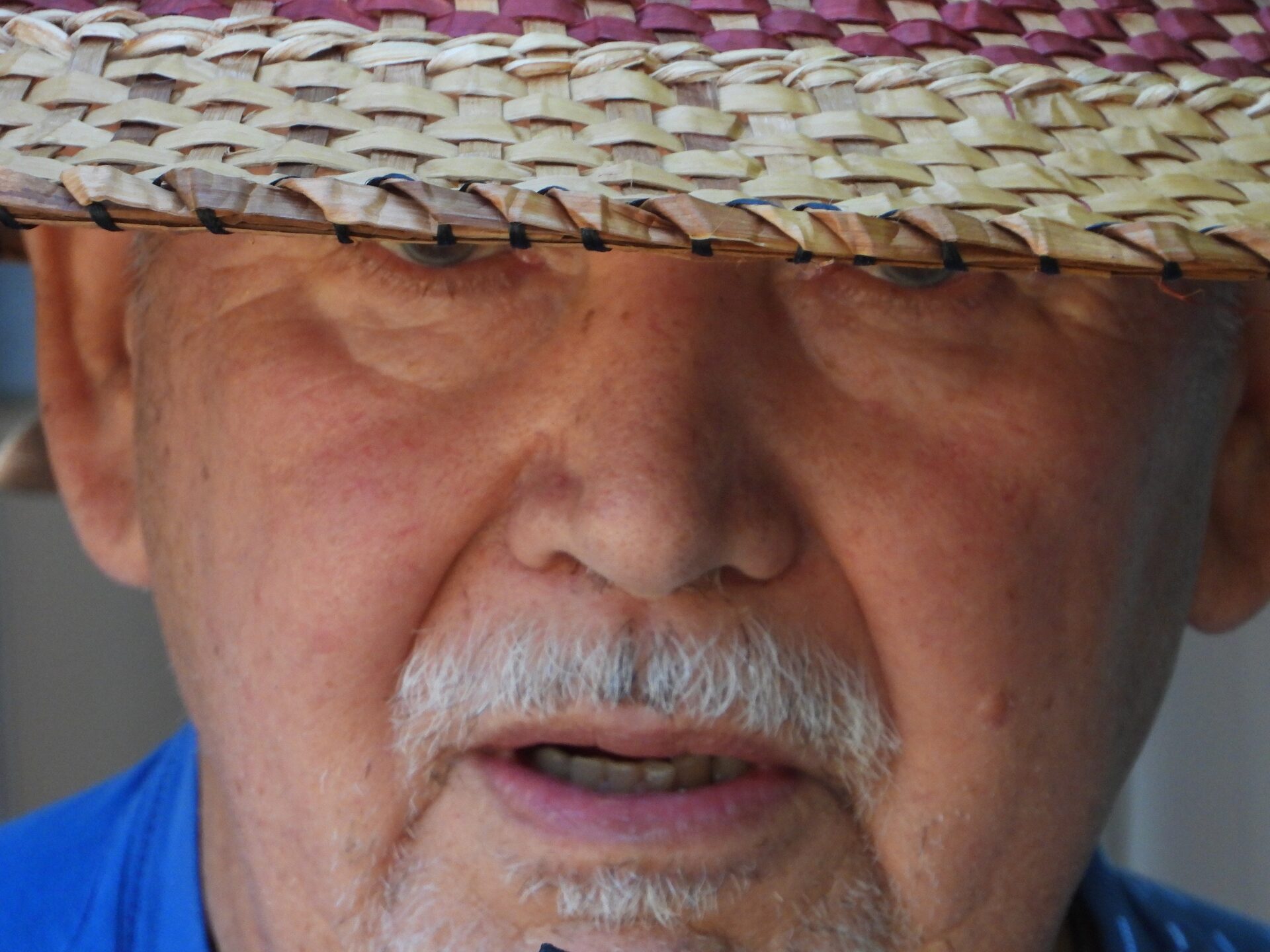 Temporary image — credit and cultural review before permanent use